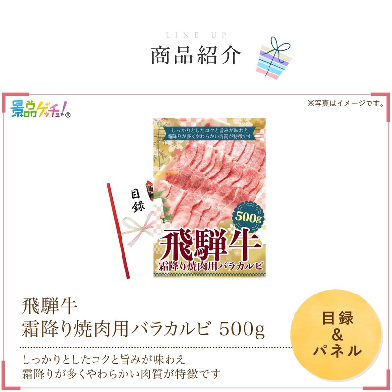Prize Panel (Hida Beef Marbled Baracalbi, 17.6 oz (500 g),