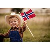 Norway Stick Flag 4x6IN 12 Pack Small Mini Norwegians National
