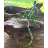 AAA Iguana Baby Replica - AAA