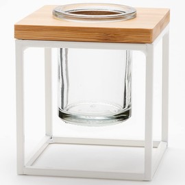 Couronne Co. Coastal Pablo Cube Hanging Planter Vase, 5 Inches tall, White Frame / Clear Glass, M260-200-00