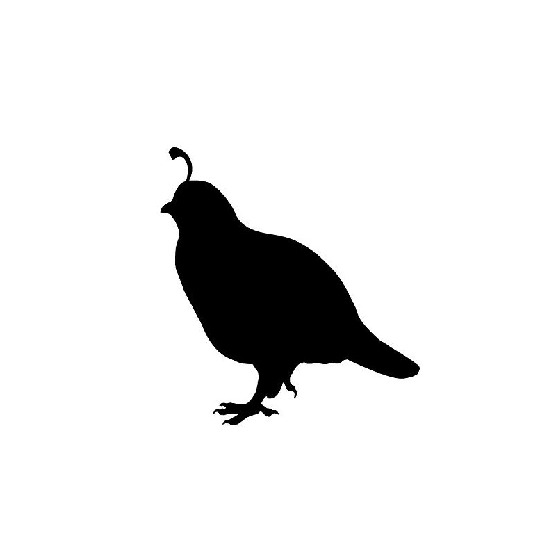 1002 Quail Decal decals for trucks by Waterfowldecals (Small, Black)