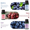 Fragrance Oil, MitFlor Premium Fruit Essential Oils Set, Fruity Scents