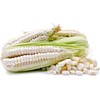 Peruvian Mammoth Mote Corn Seeds (30) / GIANT KERNALS /