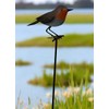 Garden Metal Bird Stake Decoration, Robin Design, Outdoor Decorative Yard