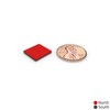 Square Block Magnets 1/2x1/2x1/16 Multi-Purpose - Universal 12x12x1.5mm Magnetic Holder