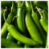 Everwilde Farms - 1/4 Lb Serrano Hot Pepper Seeds -