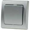 DELPHI change switch, UP, silver