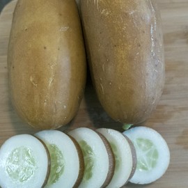 Brown Russian Cucumber Seeds - 1 Oz ~950 Seeds - Non-GMO, Heirloom - Vegetable Garden - Cucumis sativus