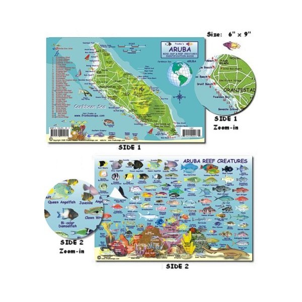 Aruba Franko Map Scuba Dive Diving Divers Snorkel Snorkeling Guide Fish Reef Creatures Guide (Mini-map and Fish Card) Franko Laminated Maps - Fish ID and Maps