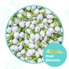 Essencesip Jasmine Puerh Tea - Black Ripe Pu Erh Loose