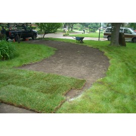 3 LB Soil Vigor (Tm) Super Absorbent Polymer, Moisture Trap for All Plants, Trees, Shrubs, Vegetable, Flower Gardens, and Lawns