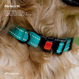 CollarDirect Reflective Dog Collar with Buckle Adjustable Safety Nylon Collars for Dogs Small Medium Large Pink Black Red Blue Purple Green Orange