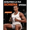 Fitarc Maniglia Double D Accessori Cavi per Palestra, Accessorio V‑Bar