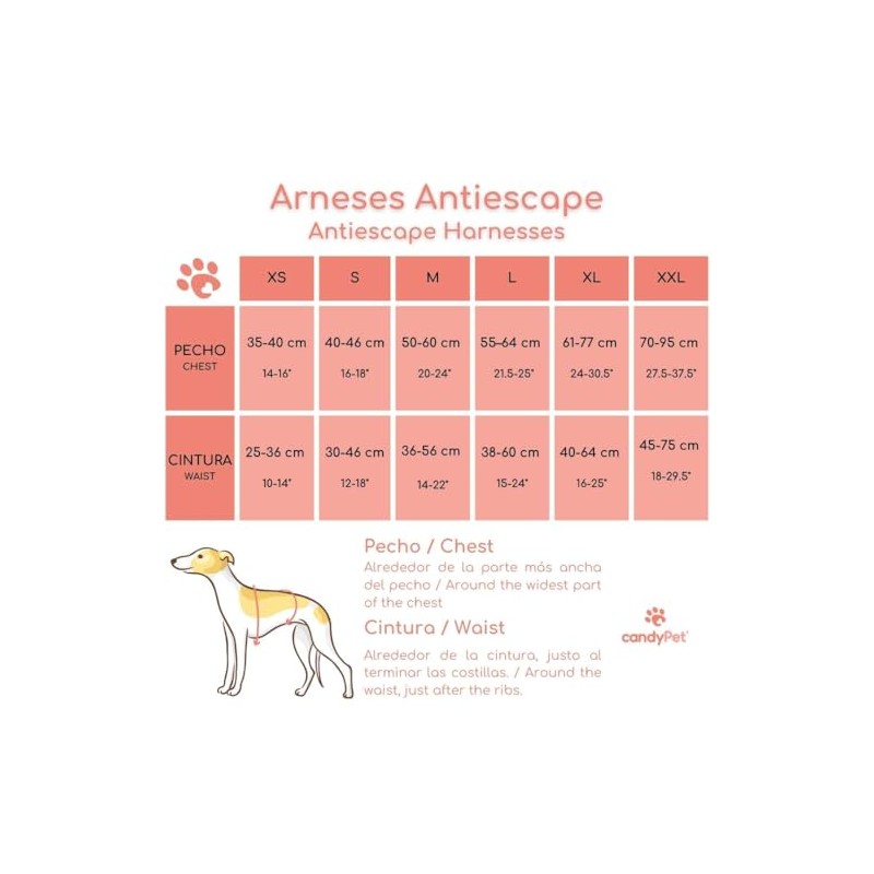 3 Point Harness Anti Pull Ideal for Libreles: Italian Greyhound