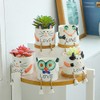 DIYOMR Smooth Glazed Ceramic Planter with Hanging Leg, Cute Cartoon