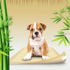 Fancy Pets Tapete Entrenador Soft Pad de Bambú 14 Piezas