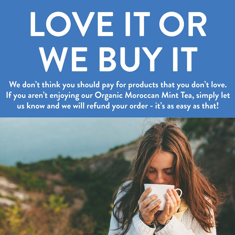 FGO Organic Moroccan Mint Green Tea, 100 Count, Eco-Conscious Tea