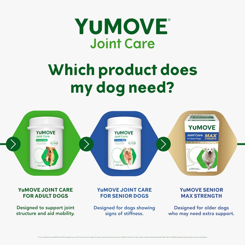 Lintbells | YuMOVE Adult Dog | Hip and Joint Supplement
