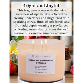Raspberry Strawberry Vanilla 3-Wick Scented Soy Candle 15.8 oz | Large Sweet Berry Vanilla Scented Candle for Home | Stress Relief & Relaxing Aromatherapy Candle | Strong Throw & Long-Lasting