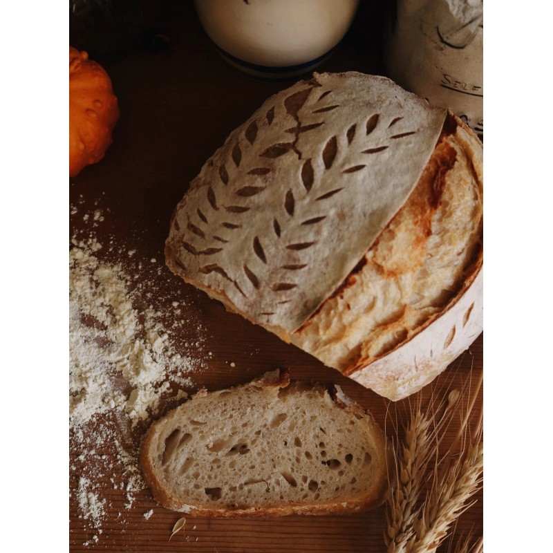 Heritage Sour Sourdough Starter Dehydrated Sour 125+ Yrs Old Oregon