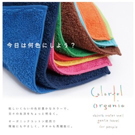 Imabari Towel Certified Scarf Towel, Sports Towel, Pushing Activity, Outdoors, Mountain Climbing, Swim Towel, Sports, Organic, Sustainable, 5.9 x 43.3 inches (15 x 110 cm), Scarf Towel, Light Blue