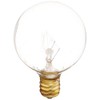 Bulbrite Incandescent G12 Candelabra Screw Base (E12) Light Bulb, 10