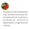 Crema Post Operación Cicatrizante Abdominoplastia Acné 2 Pza