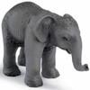 Schleich - Indian Elephant Calf