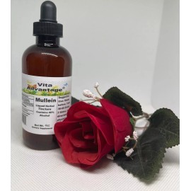 Vita Advantage Mullein Liquid Herbal Extract Highest Quality Tincture Pick FREE Sample Below - 4oz