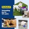 PetSafe Busy Buddy Bouncy Bone Dog Toy, Small