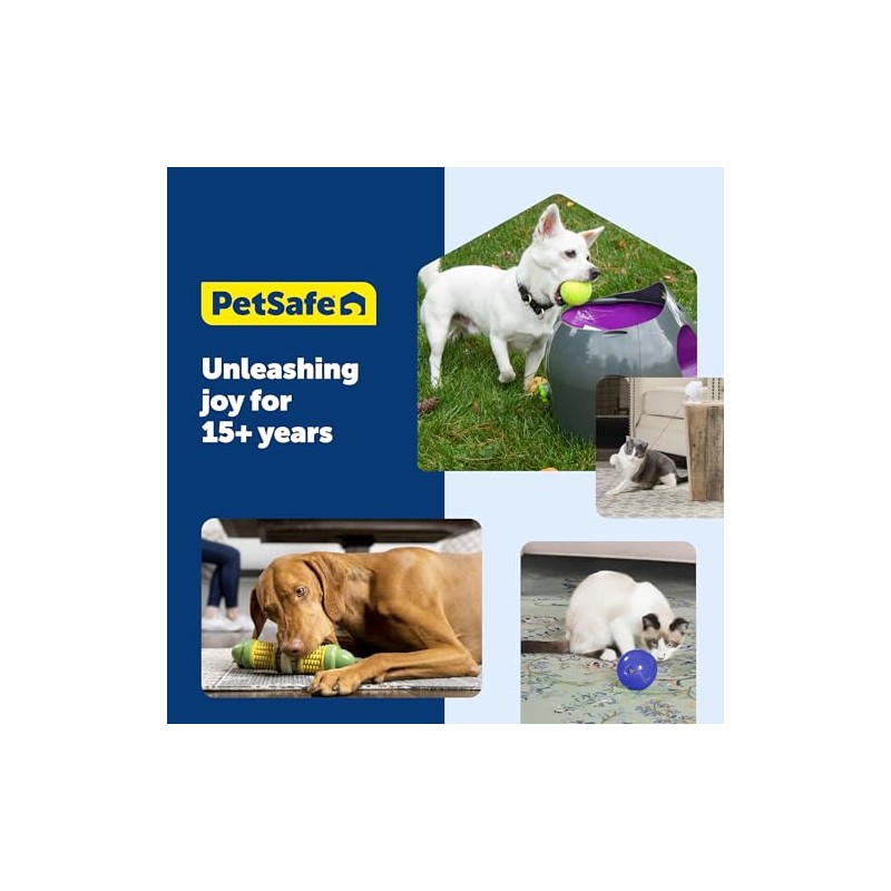 PetSafe Busy Buddy Bouncy Bone Dog Toy, Small