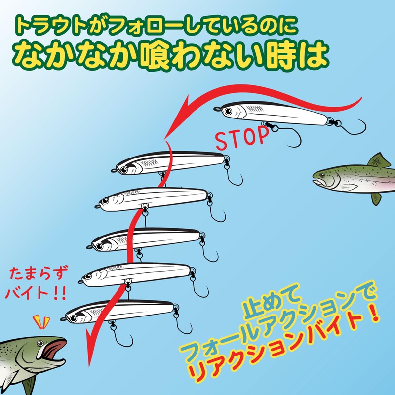LUCKY CRAFT Wonder 45 (AM) Fishing Lure Shimpen Area (5956