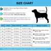 Dog Recovery Suit Full-Zipper After Post-Surgery Large Medium Dogs, Dog