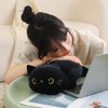 SQEQE Weighted Black Cat Plush, Weighted Black Cat Stuffed Animal,