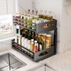 Under Sink Organizer, 2 Tier Under Sink Organizers and Storage,