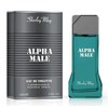 Alpha Male for Men EDT - Eau De Toilette 100ML