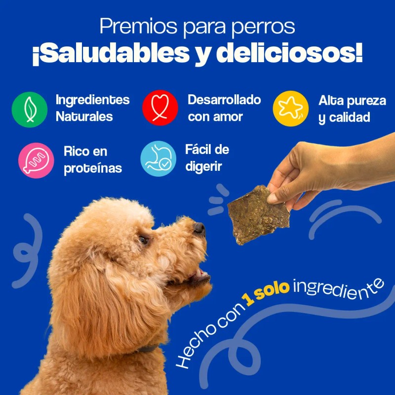 Dogelthy Premios De Pulmon De Res Deshidratado Para Perros