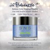 SNS Nail Dipping Powder Holidazzle Collection (HD13 - Diva on