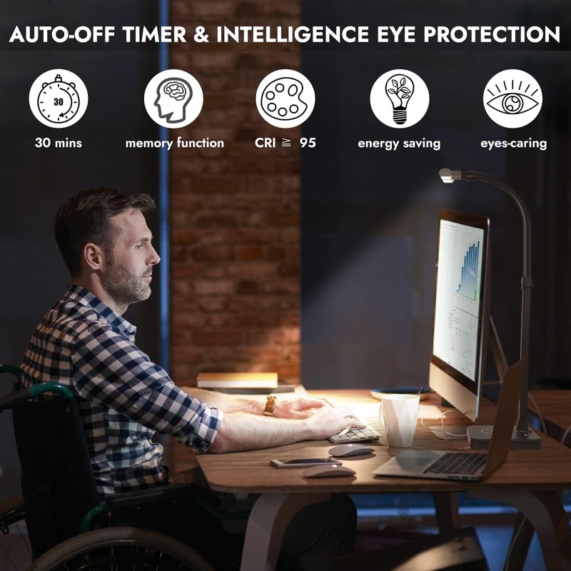 LED Desk Lamp, Double Head Desk Light with USB Charging
