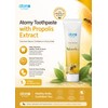 Atomy Propolis Toothpaste 艾多美蜂胶牙膏 200g