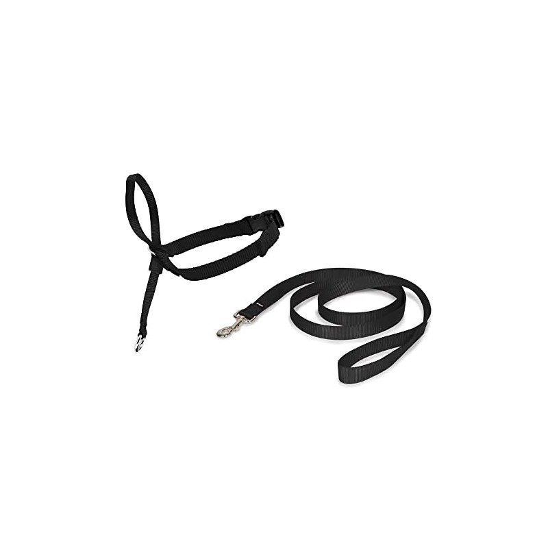 PetSafe Easy Walk Head Collar