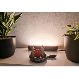 Kremers Schatzkiste Mice Frying Pans Figurine - Original Money Gift Packaging - A Pair of Mice for Roasting - High-Quality Polyresin Decorative Figure 8 x 18 x 11 cm