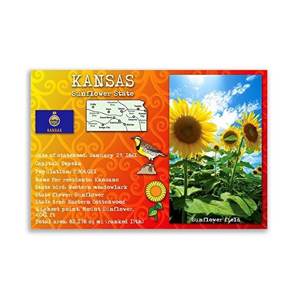 KANSAS STATE FACTS postcard set of 20 identical postcards. Post