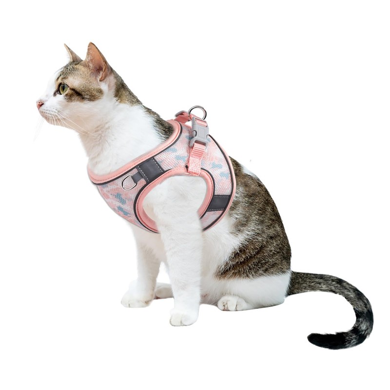 BTDCFY Step-in Dog Harness and Leash Set - Breathable Air