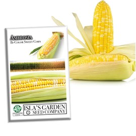 Ambrosia Bi-Color Sweet Corn Seeds for Planting, 50+ Seeds Per Packet, (Isla's Garden Seeds), Non GMO Seeds, Botanical Name: Zea mays, Great Home Garden Gift