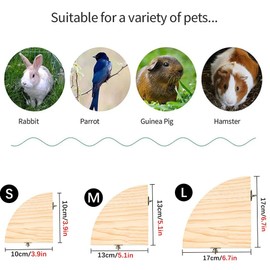 Parrot Bird Wood Perch Stand Platform Rectangle Fan-shaped Shelf Stand Board Parakeet Hams
