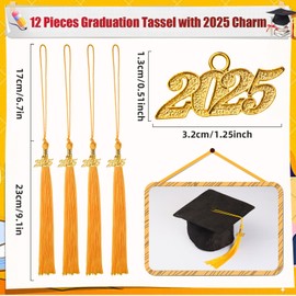 12 Pieces Graduation Tassel with 2025 Charm for Graduation Cap, Charm Graduation Tassel Decorations for Graduation Ceremony Graduation Party Supplies Accessories(Gold, 2025)