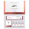 Eyebrow Lamination Kit, Eyebrow Lift Kit, DIY 3D Perm For