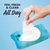 Summer's Eve Fragrance Free Gentle Daily Feminine Wipes, Removes Odor,