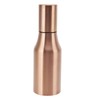Oil Dispenser Bottle Stainless Steel Drip Proof Design Dustproof Cover